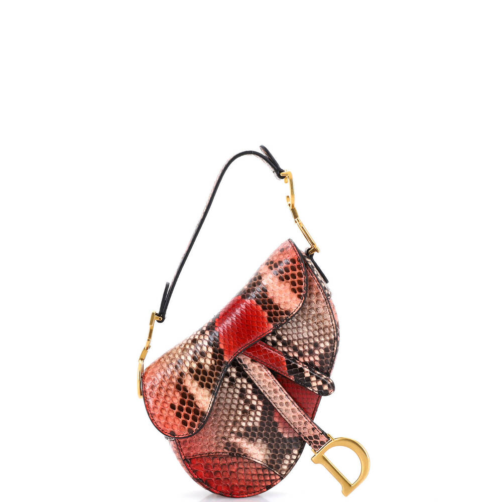 Christian Dior Mini Saddle Handbag Python